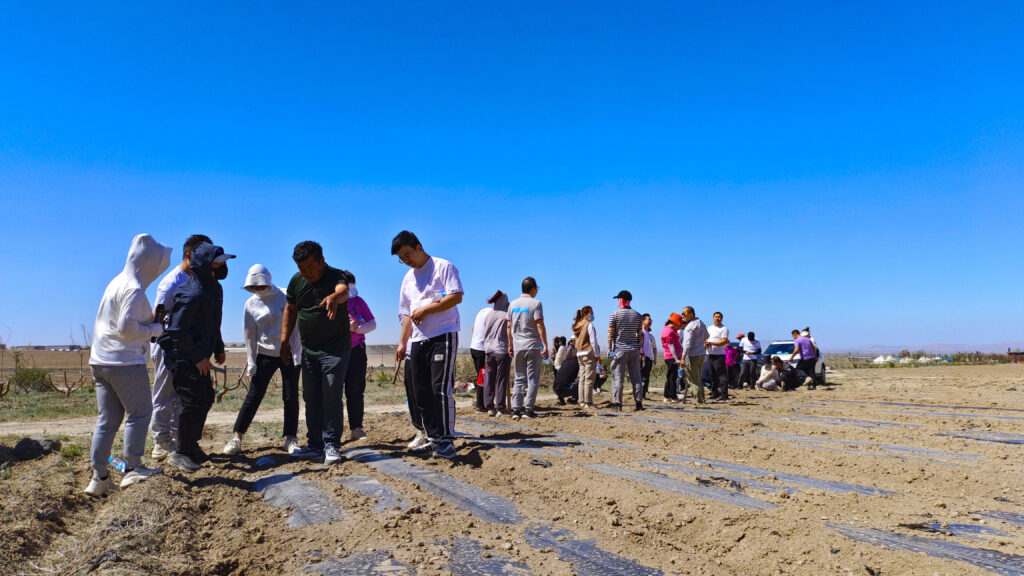 走进田园 播种希望|MG不朽情缘官网物流春种团建活动