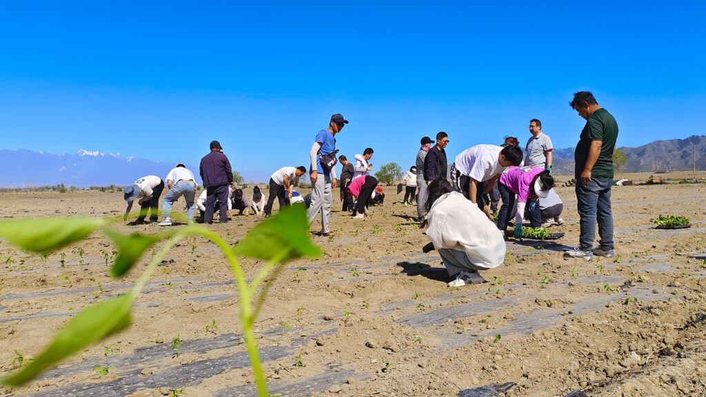 走进田园 播种希望|MG不朽情缘官网物流春种团建活动