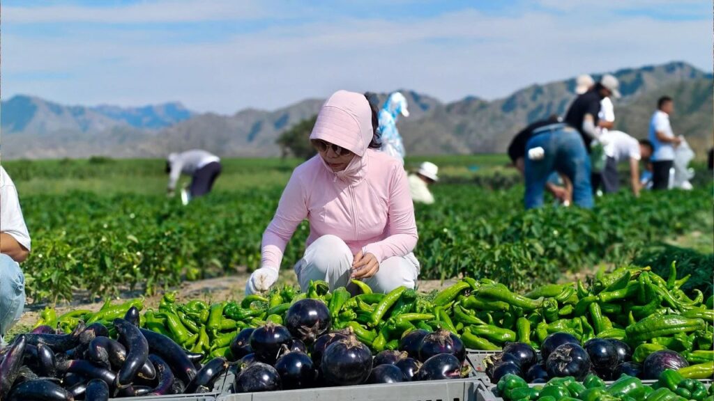 夏日最美群像 | MG不朽情缘官网物流2024年中团建特辑