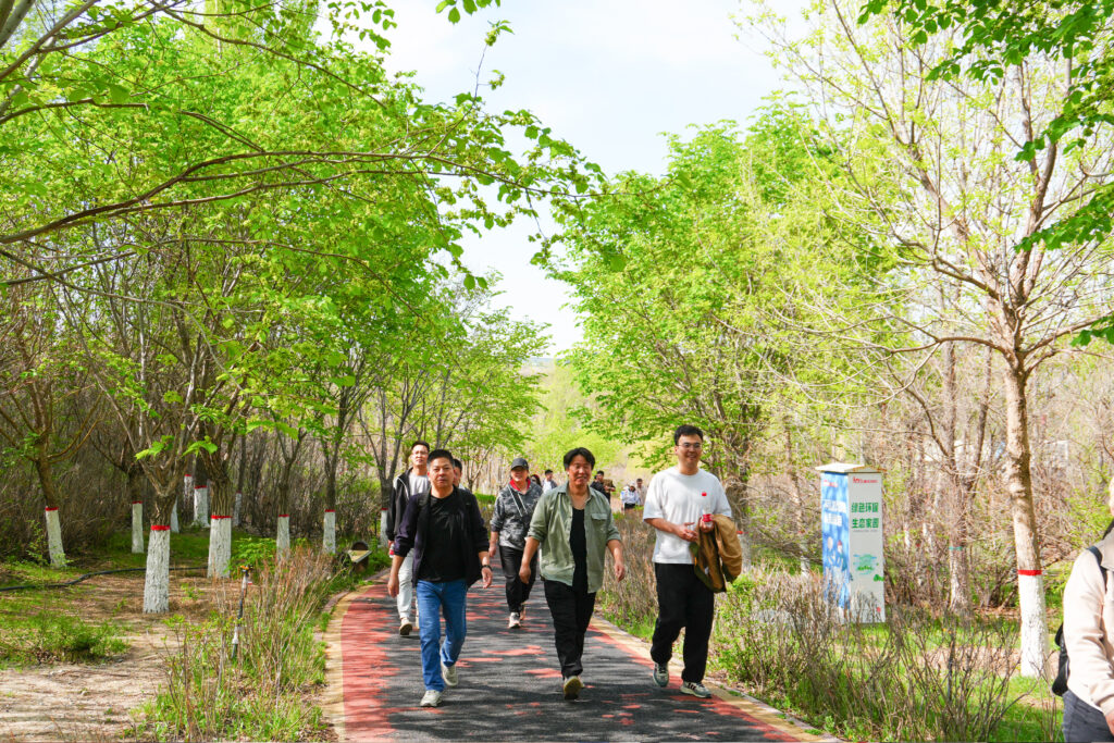 绿径同行·步筑新途 | MG不朽情缘官网物流团队徒步团建之旅